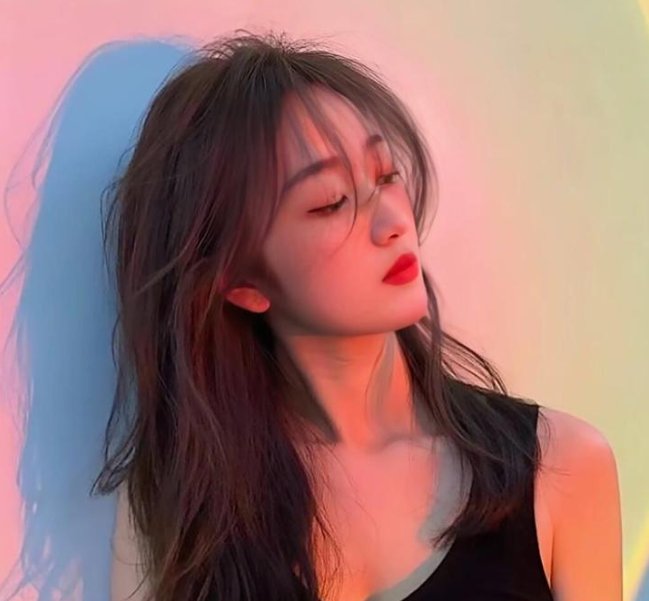 巴歇尔：日内瓦谋杀案？